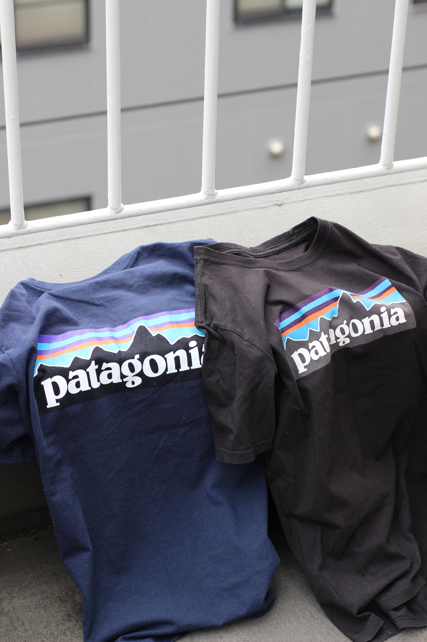 Patagonia T-Shirt x2点