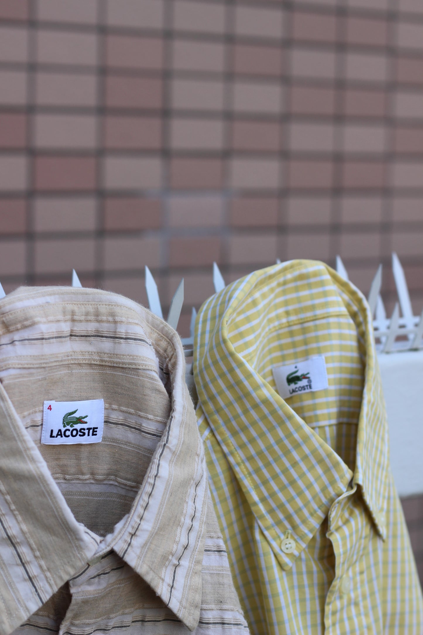 Lacoste Shirt x8点