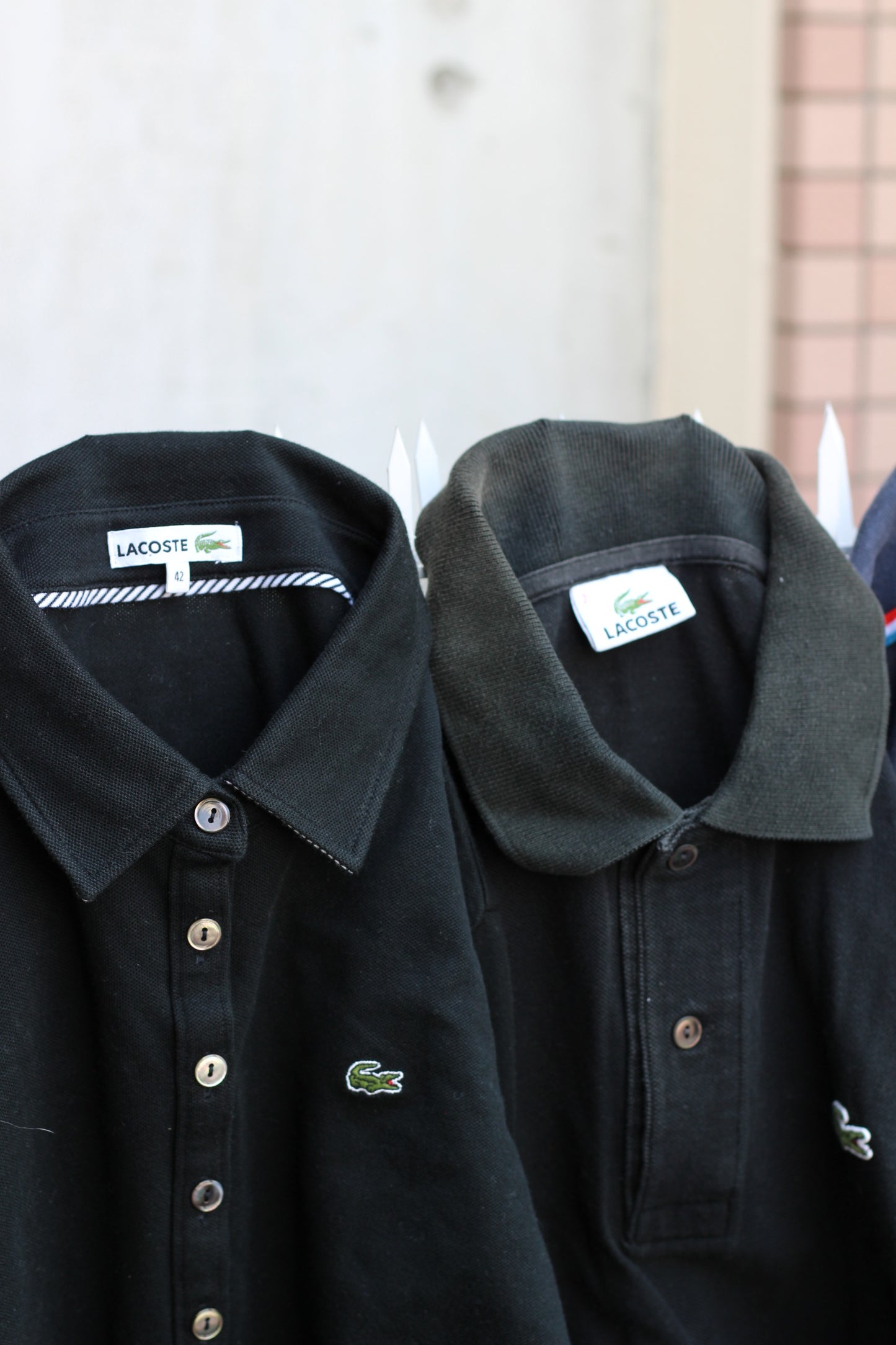 Lacoste Polo Shirt x16点