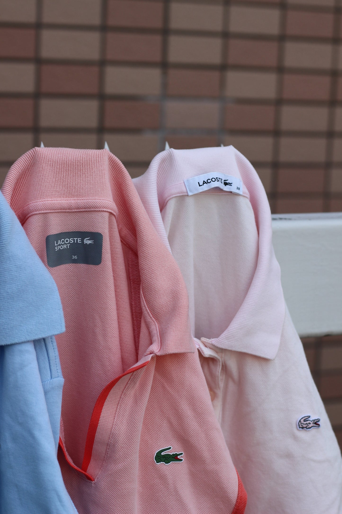 Lacoste Polo Shirt x16点