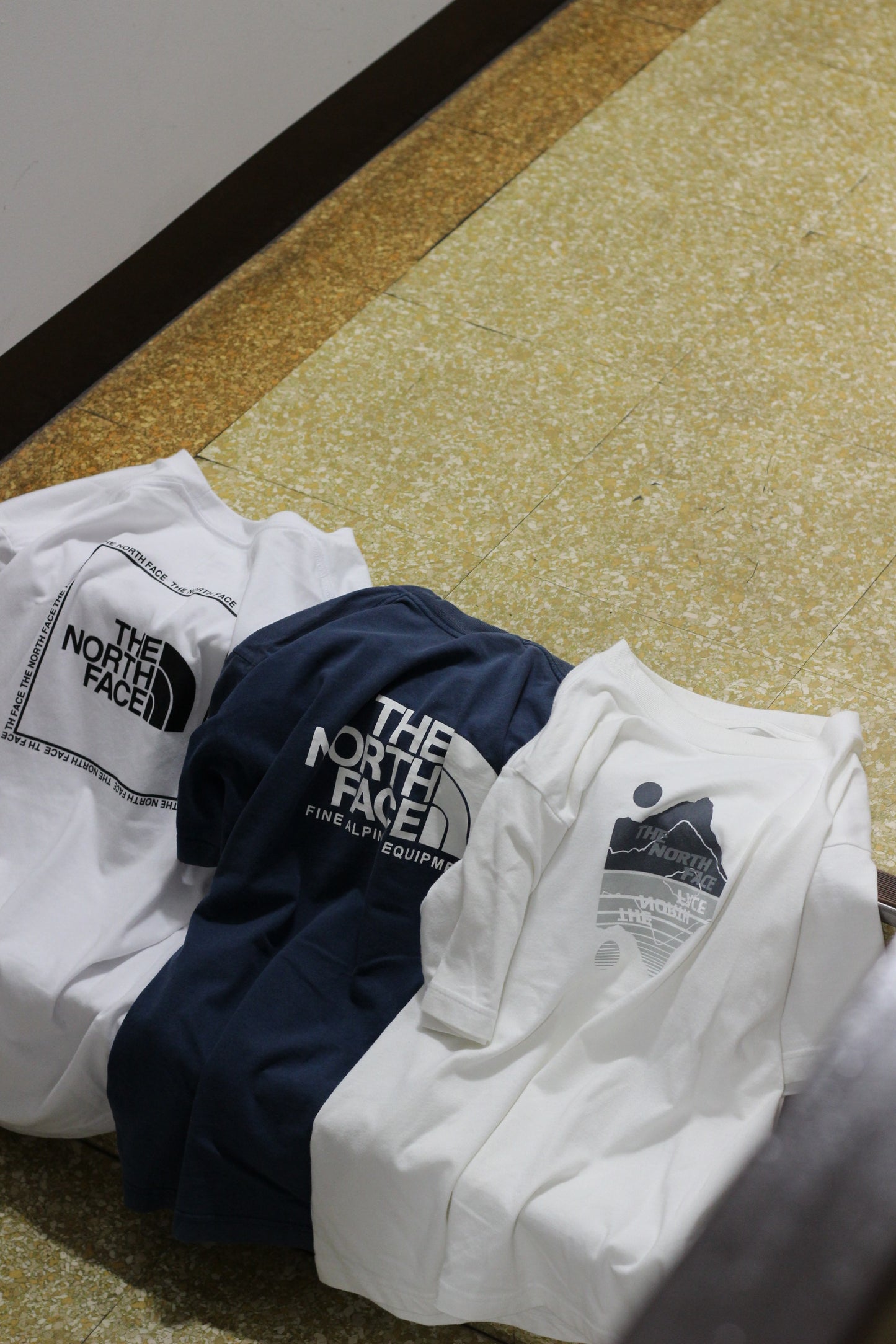 The North Face T-Shirt x12点