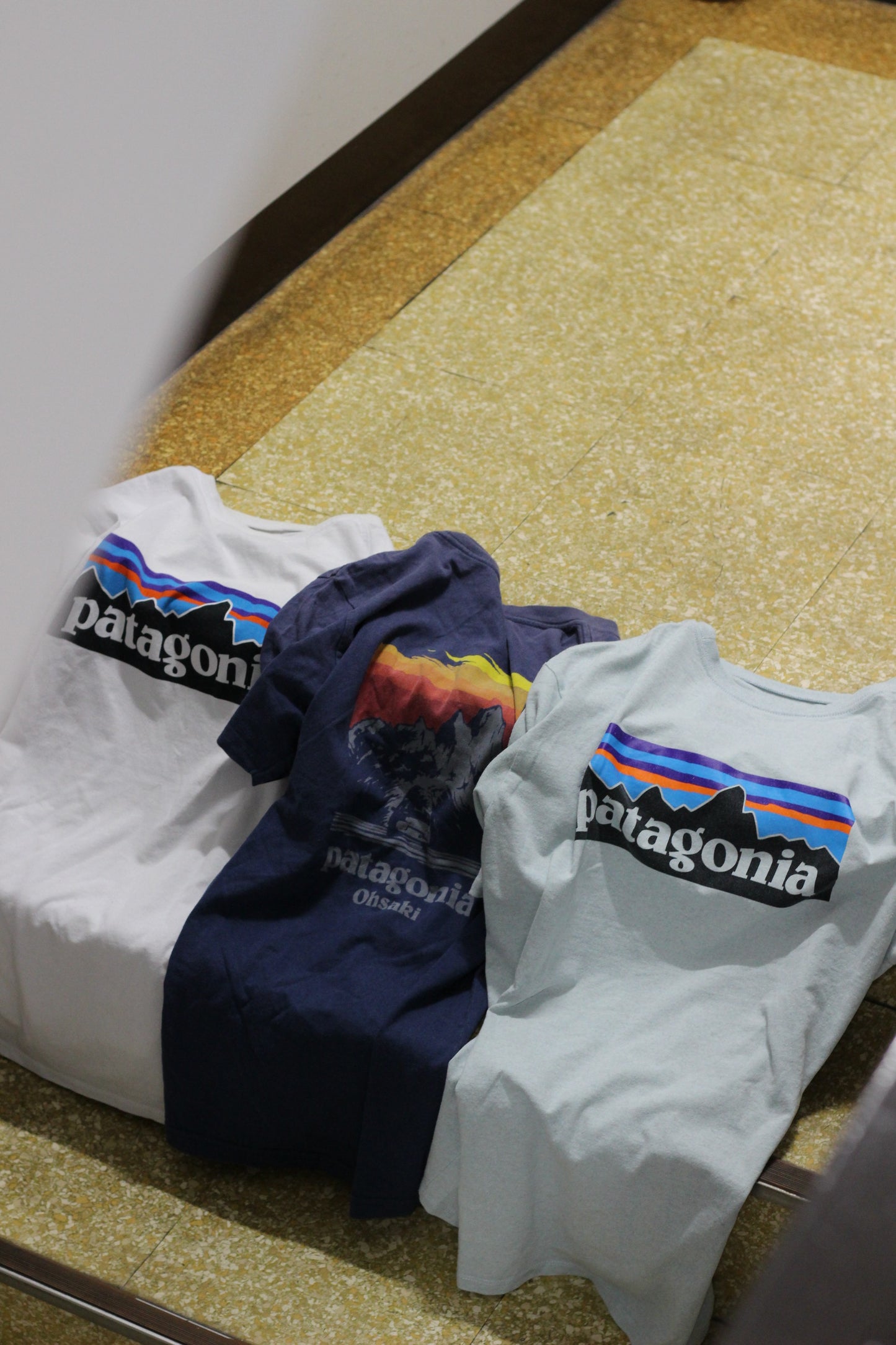 Patagonia T-Shirt x2点