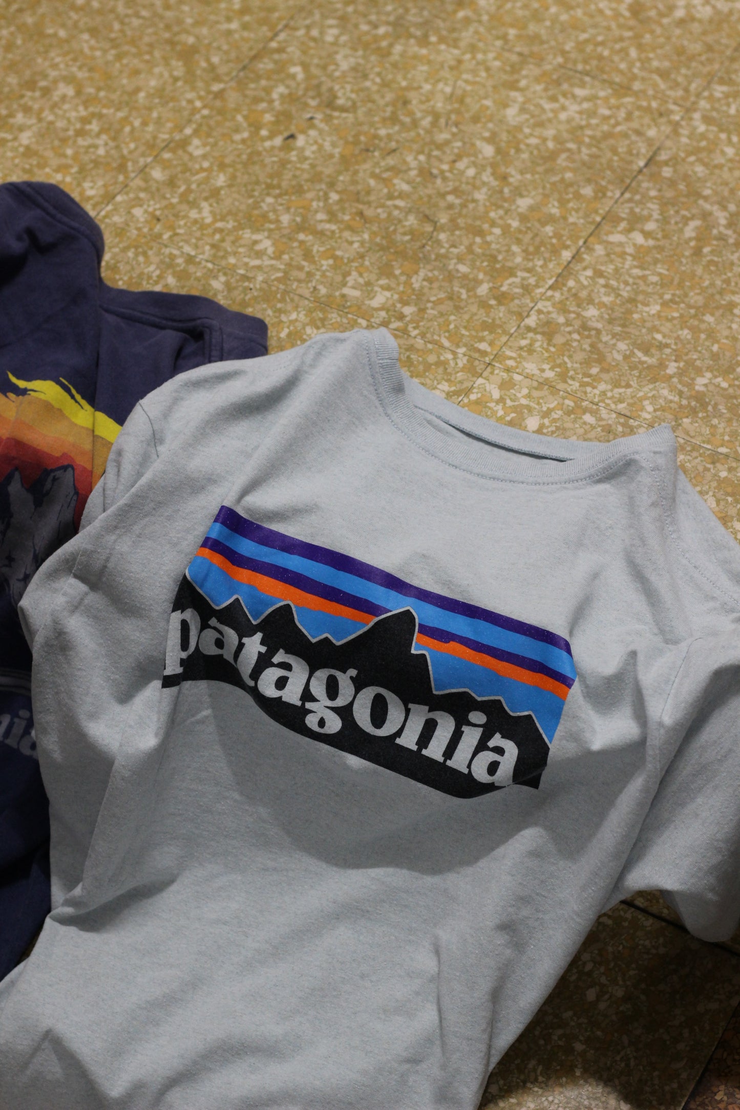 Patagonia T-Shirt x2点