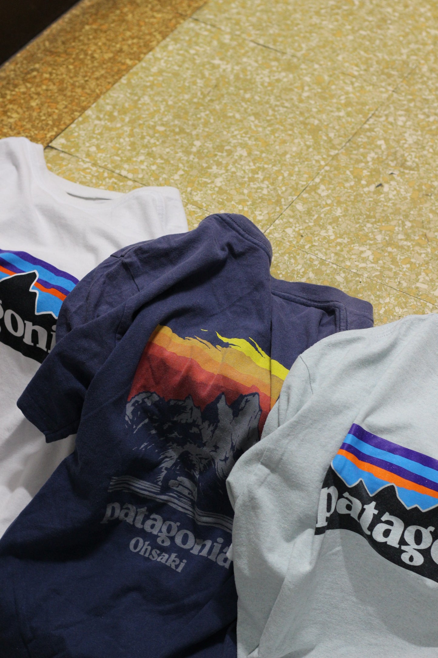 Patagonia T-Shirt x2点