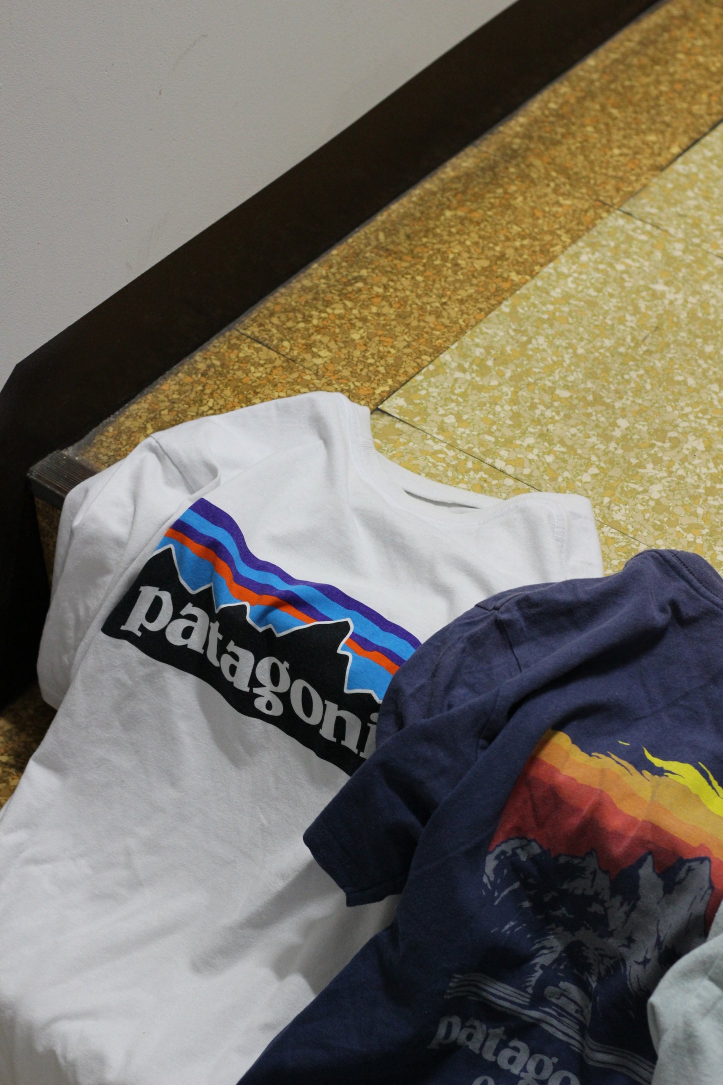 Patagonia T-Shirt x2点