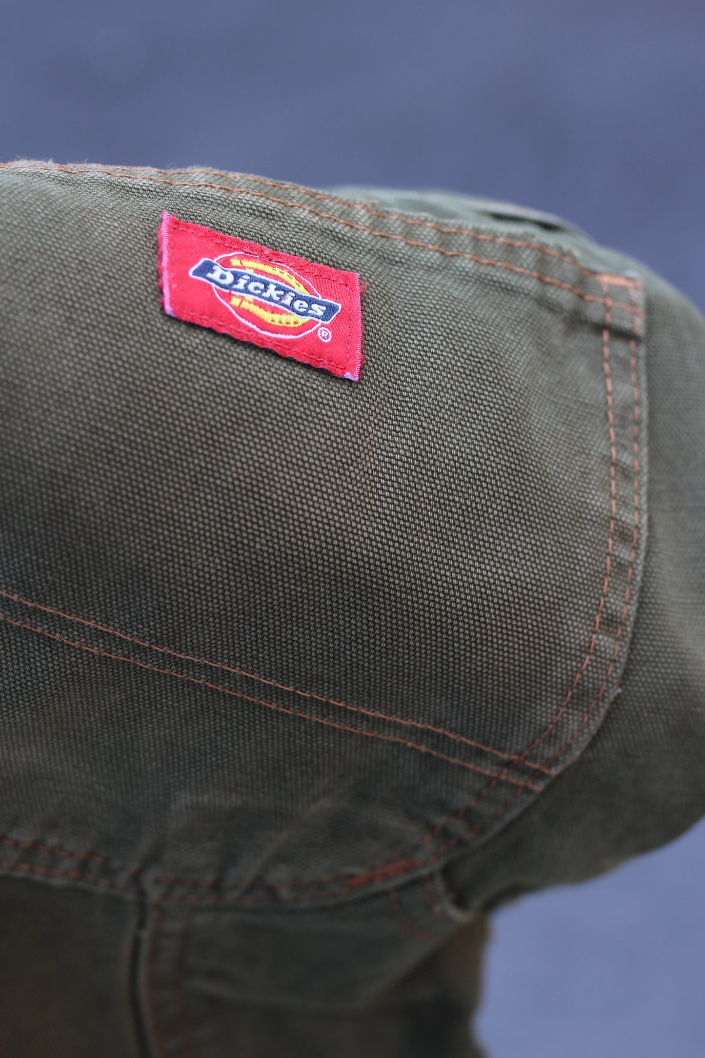 Dickies & Wrangler Painter Pants x2点