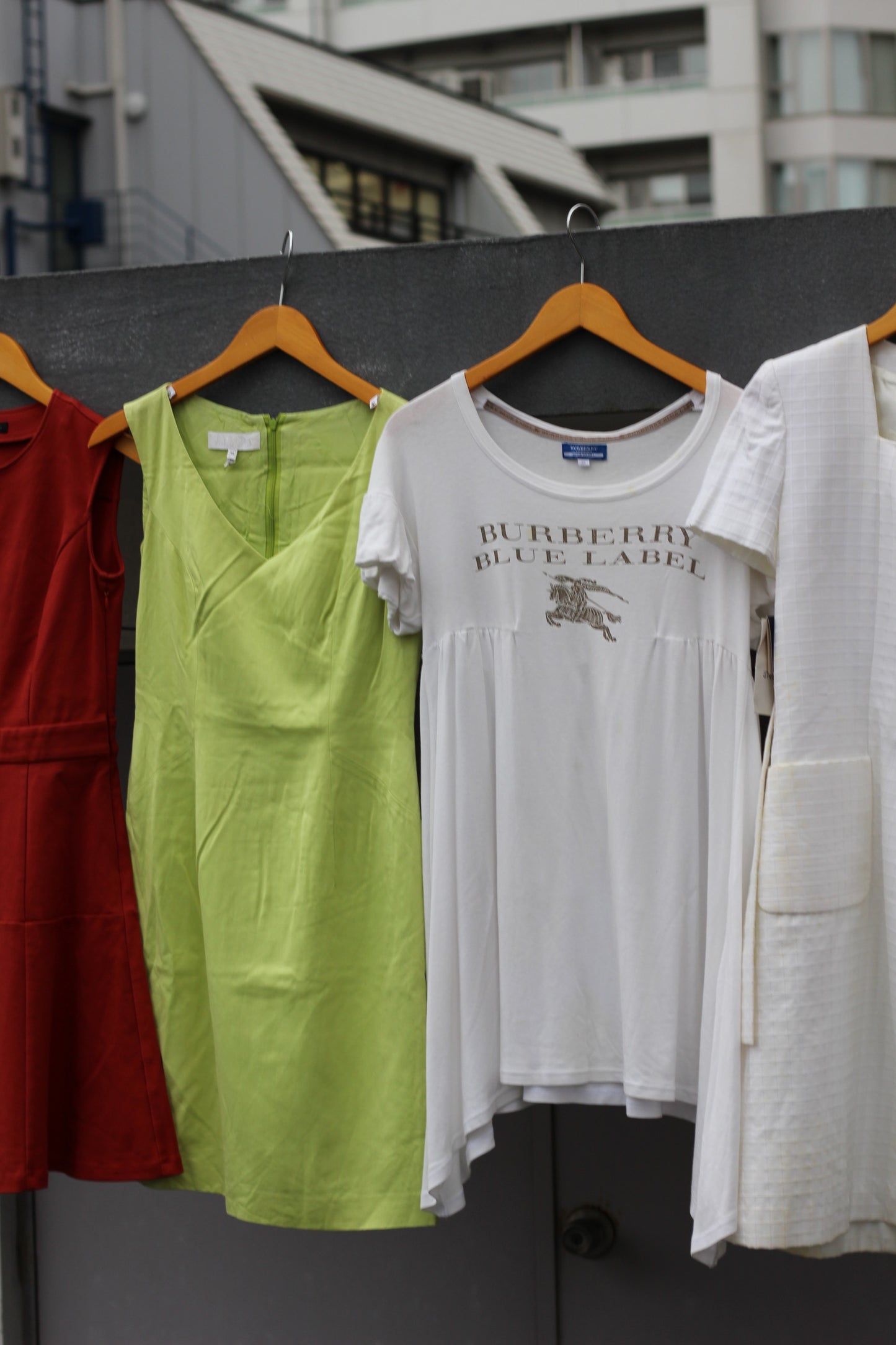 Luxury Brand Dress x8点