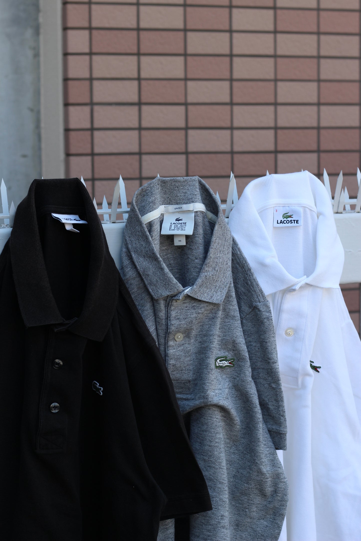 Lacoste Short Sleeve Polo Shirt set x12点