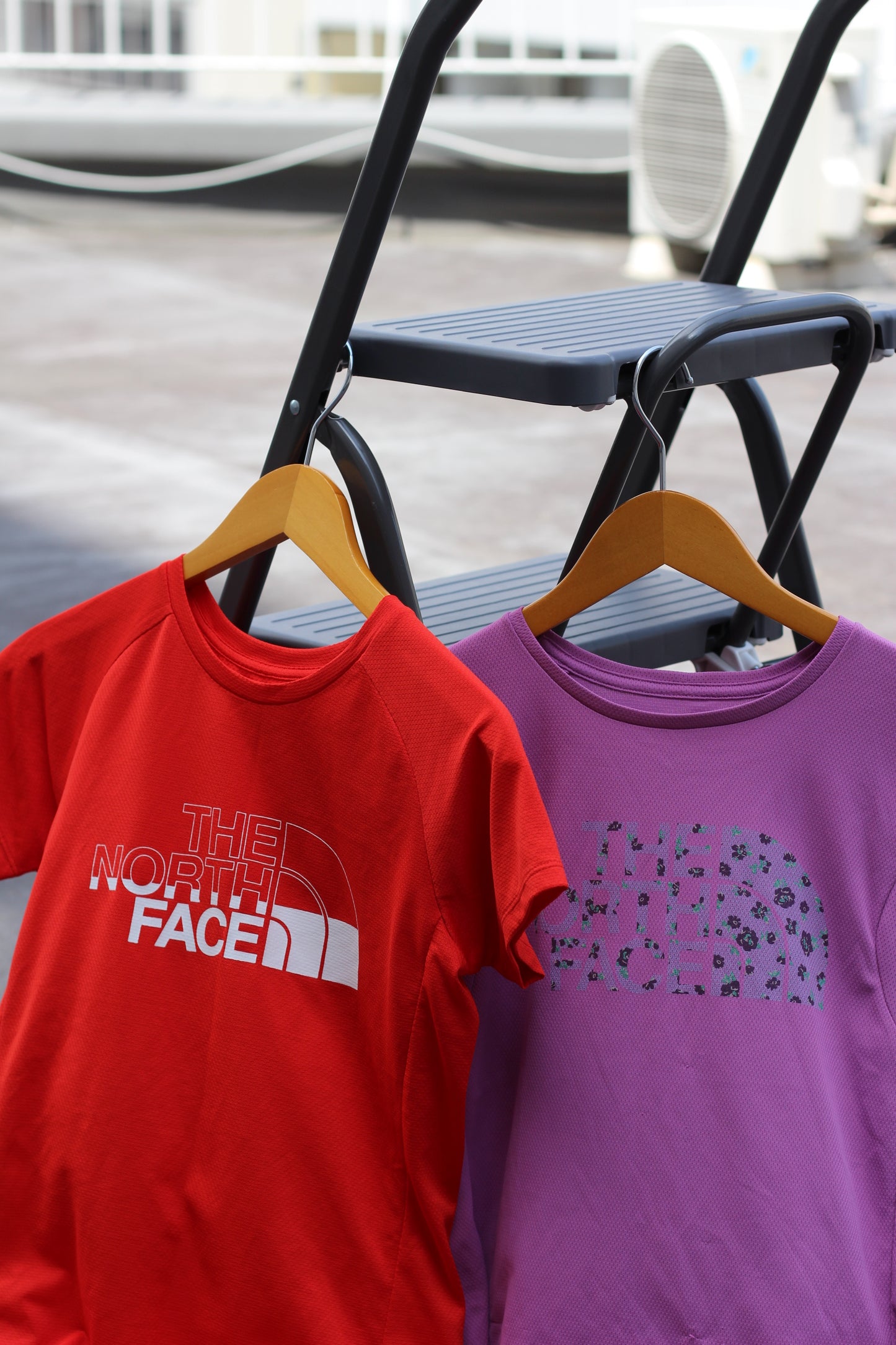 The North Face Front Print T-Shirt x6点