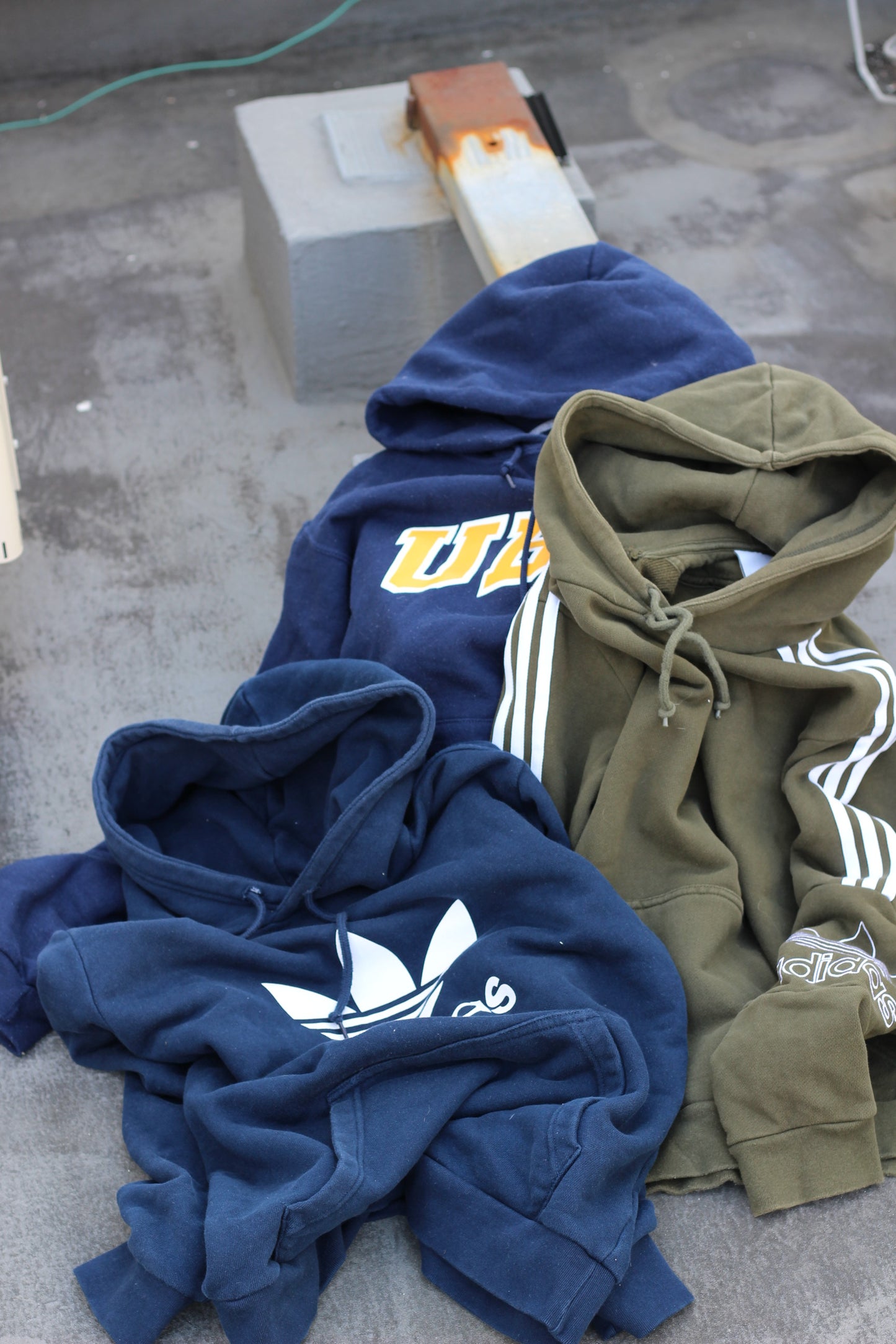Brand Sweat Hoodie x5点