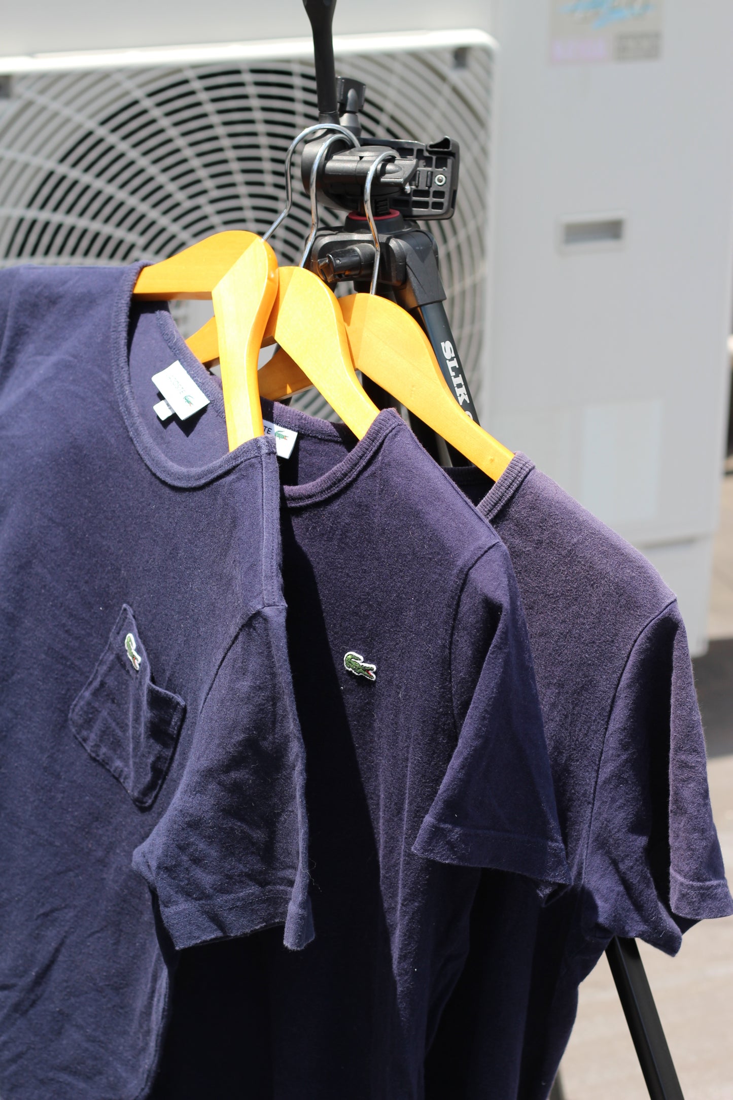 LACOSTE One Point Logo T-Shirt x5点