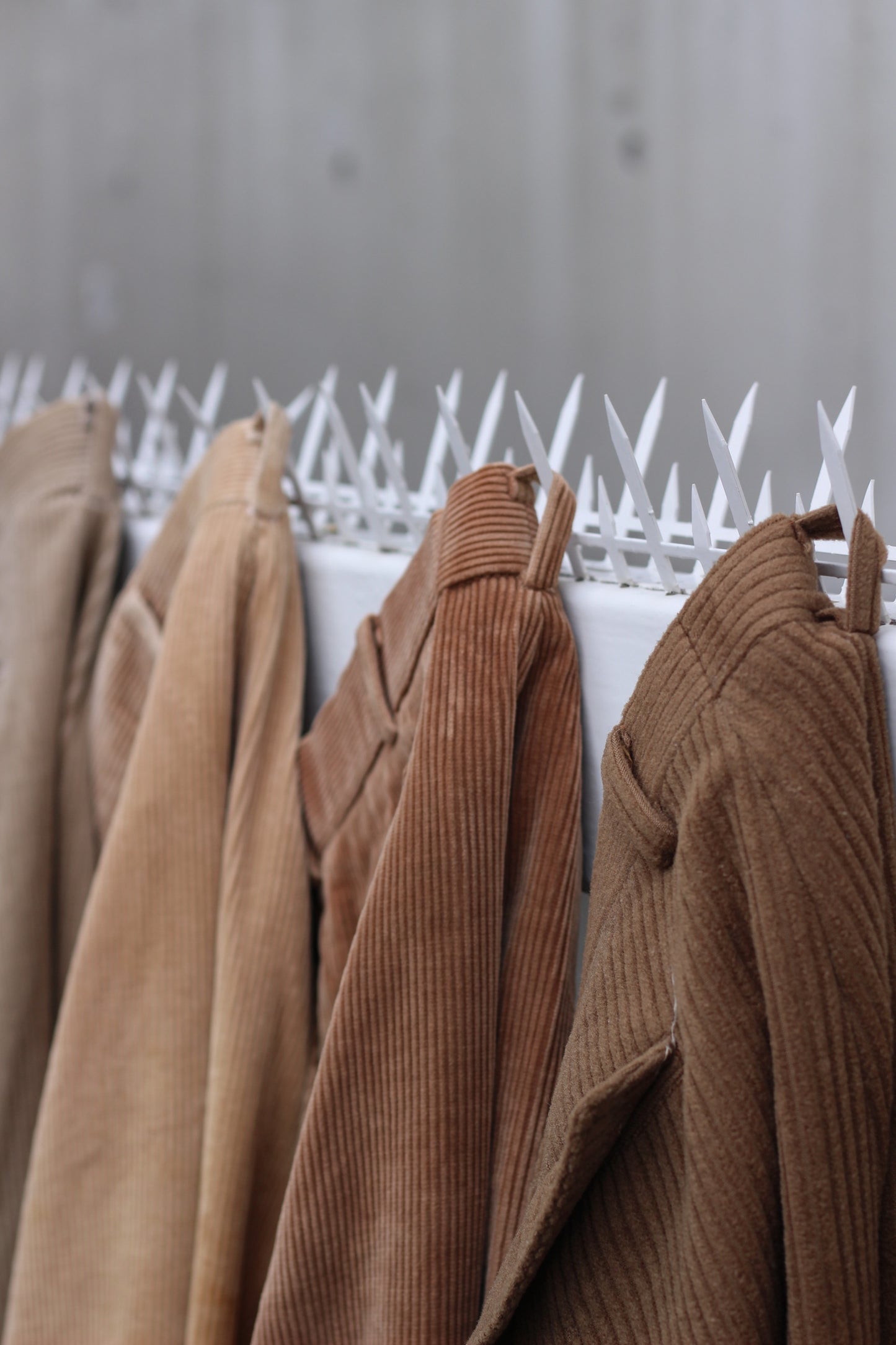 Select corduroy pants x7点