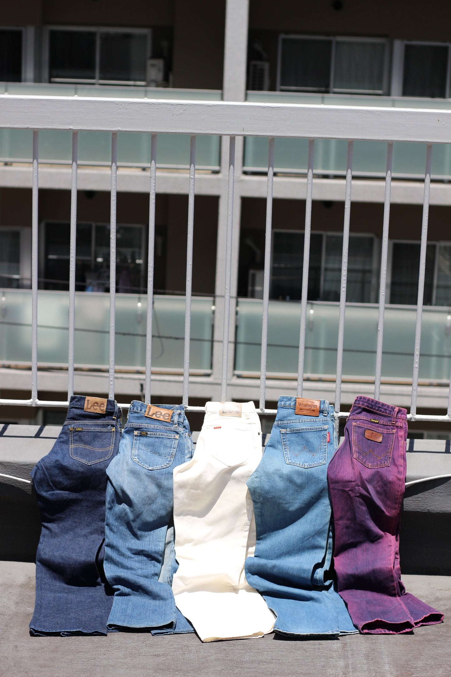 Lee & Wrangler Denim Pants x5点