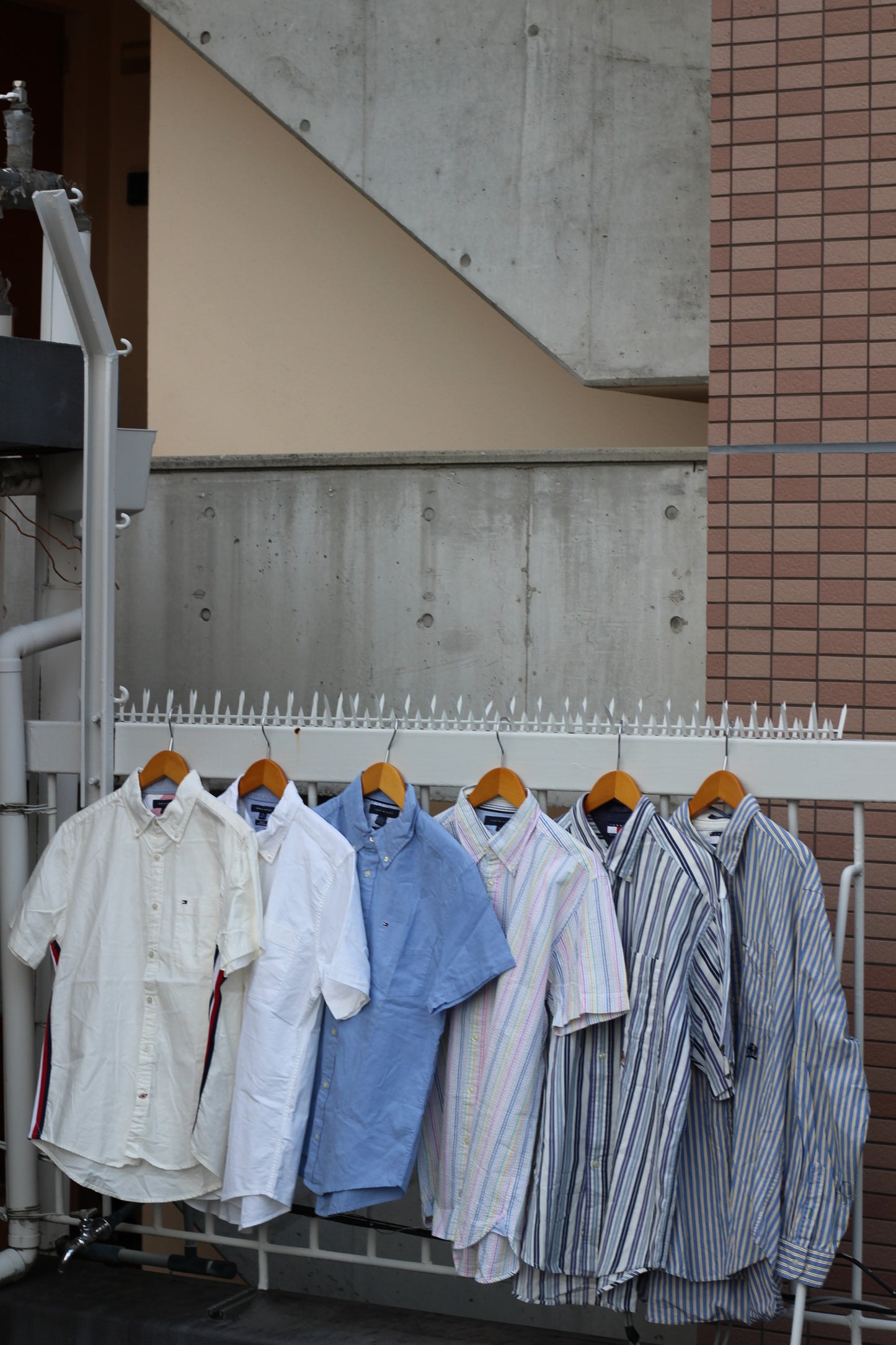 Tommy Hilfiger x50点