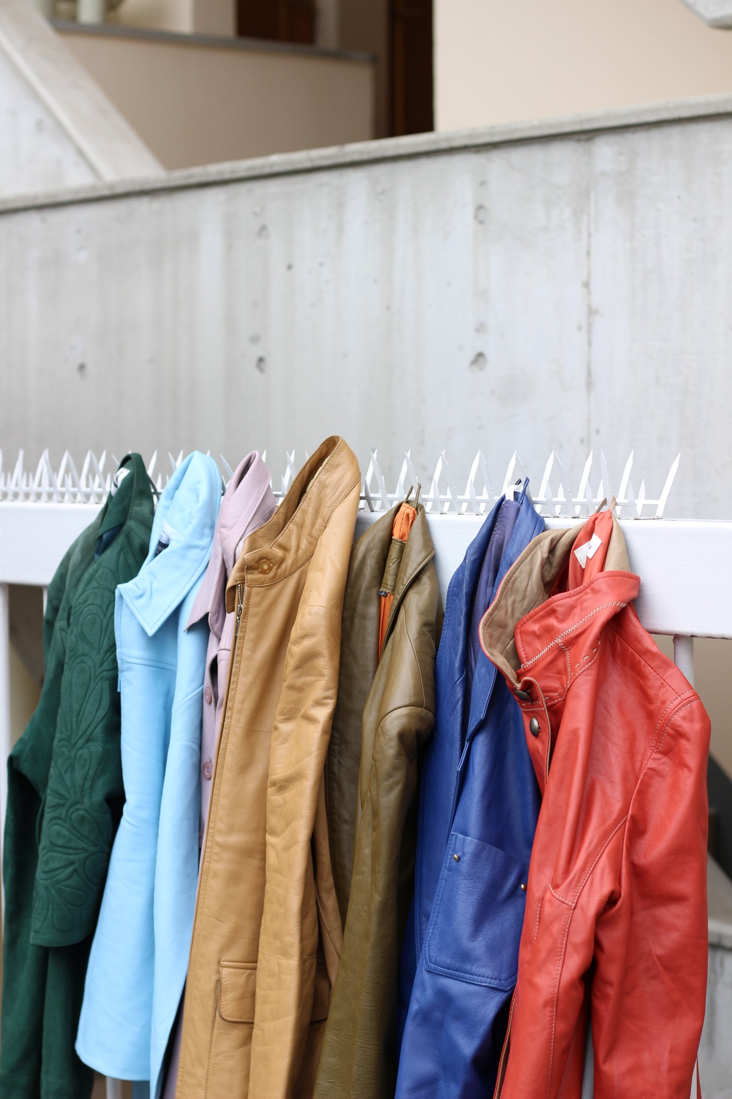 Ladies color leather jacket x14点