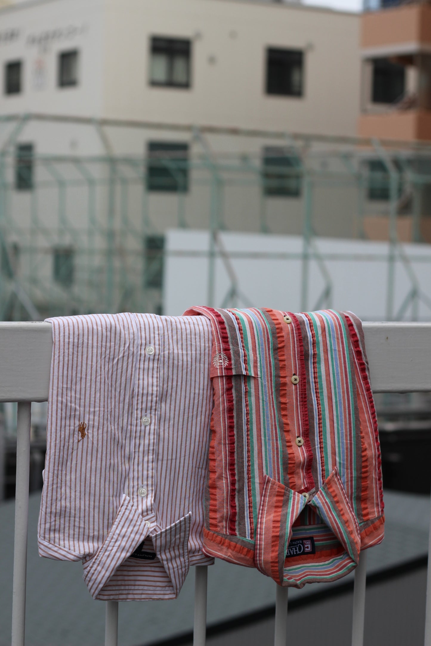 Ralph Lauren Shirt x12点