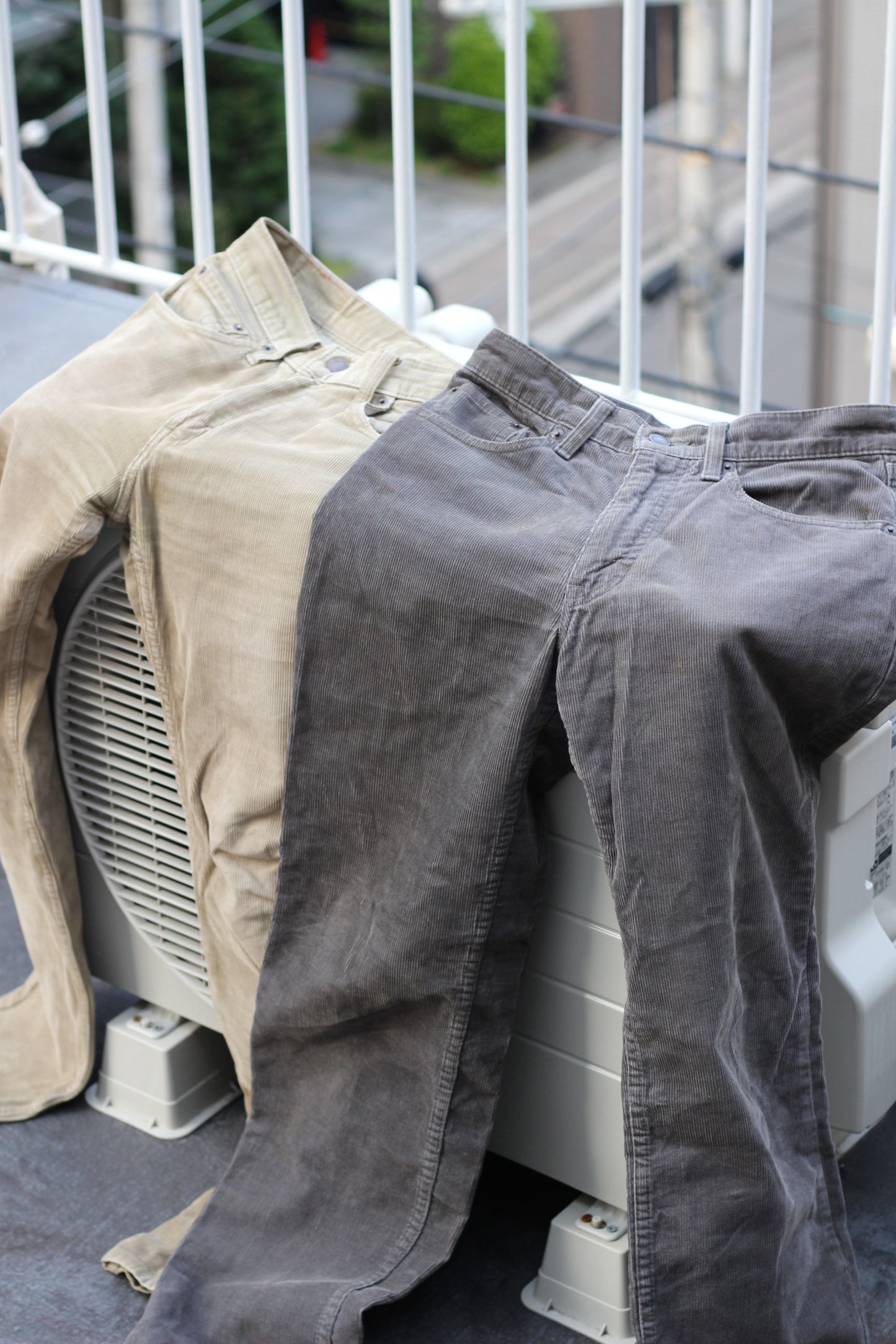 Levi's Bottoms x8点