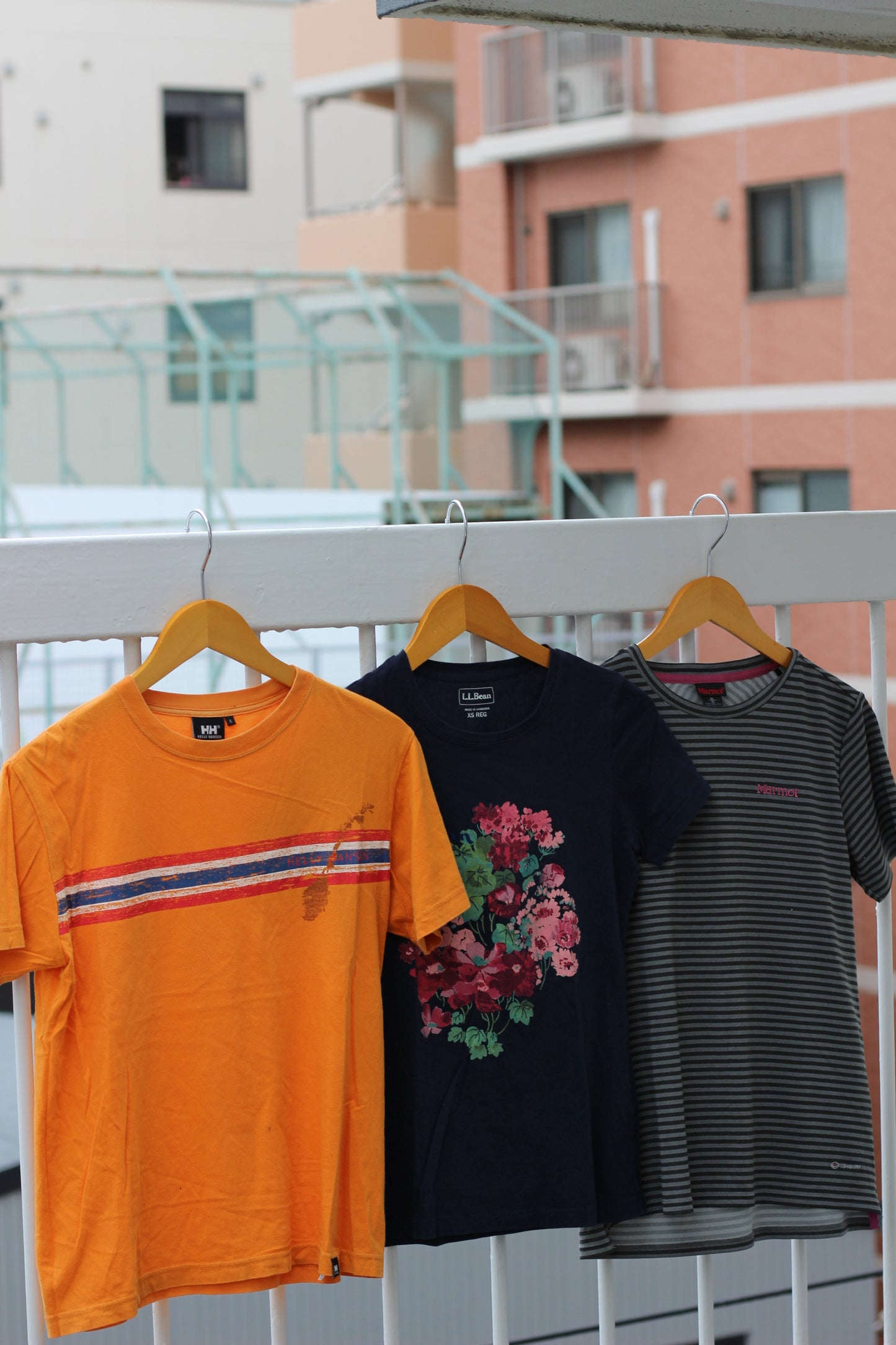 Outdoor Brand T-Shirt x10点