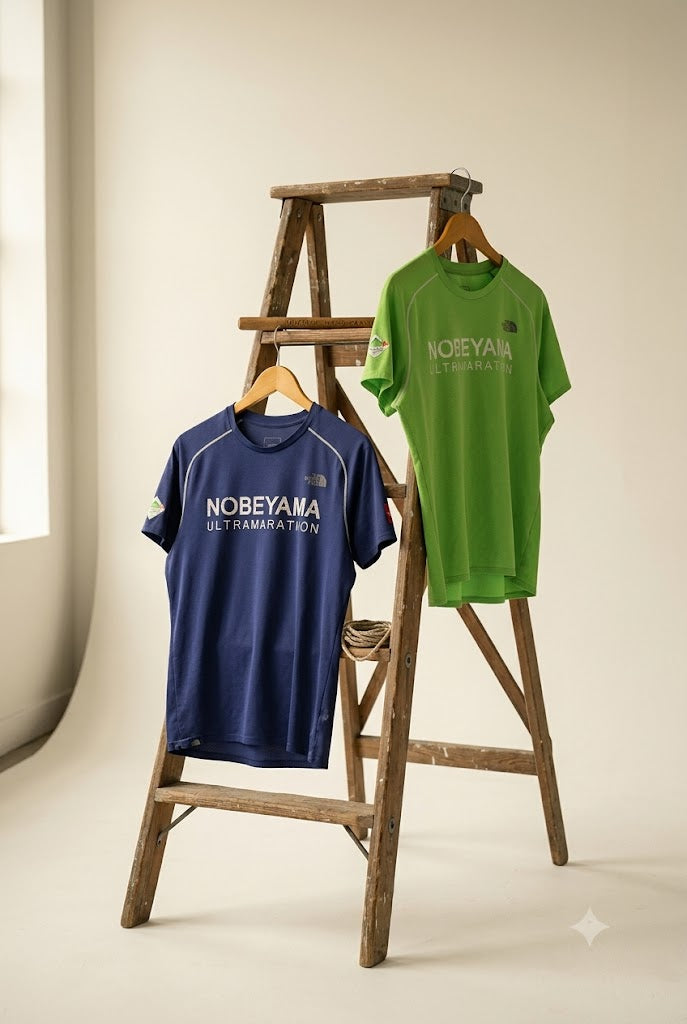 The North Face Sporty T-Shirt x2点
