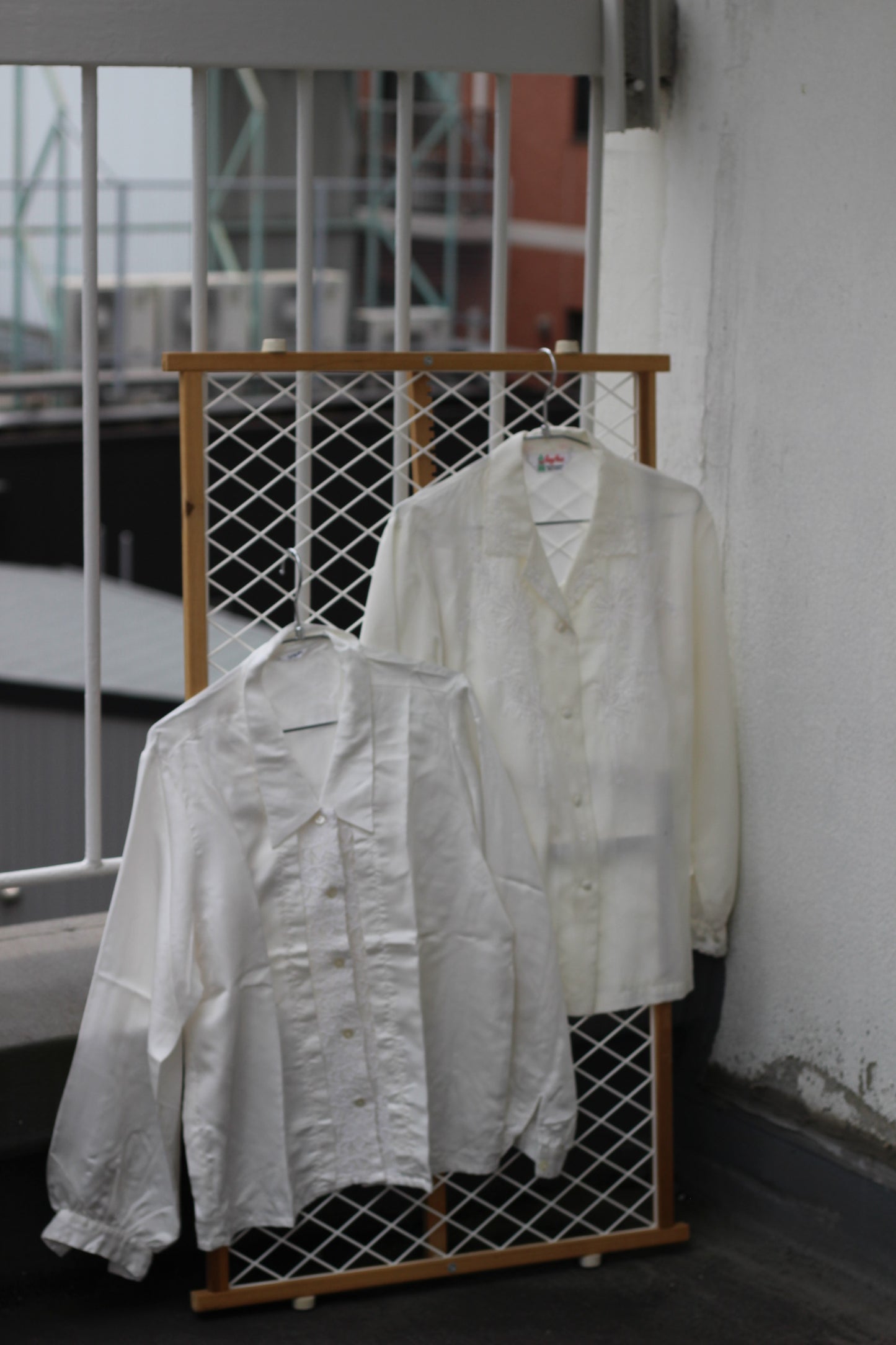 Vintage White Lace Embroidery Long Sleeve Blouse x10点
