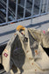Ralph Lauren Boy Scout Shirt x2点