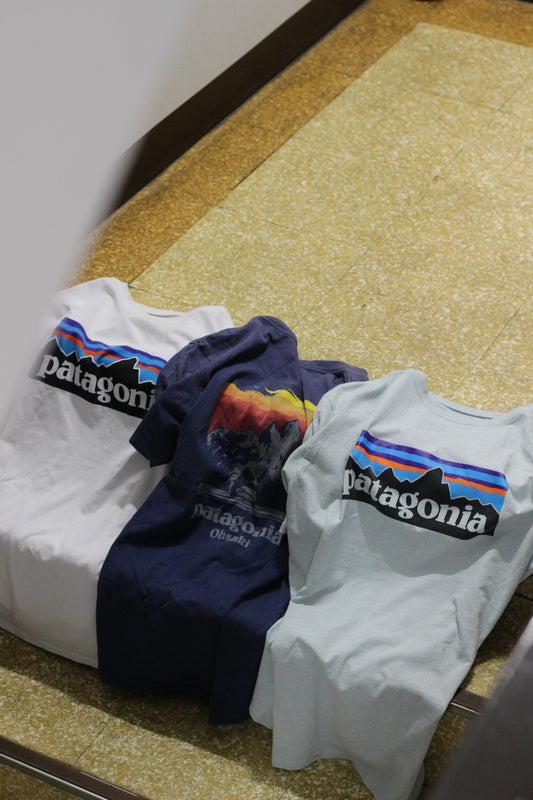 Patagonia T-Shirt x2点