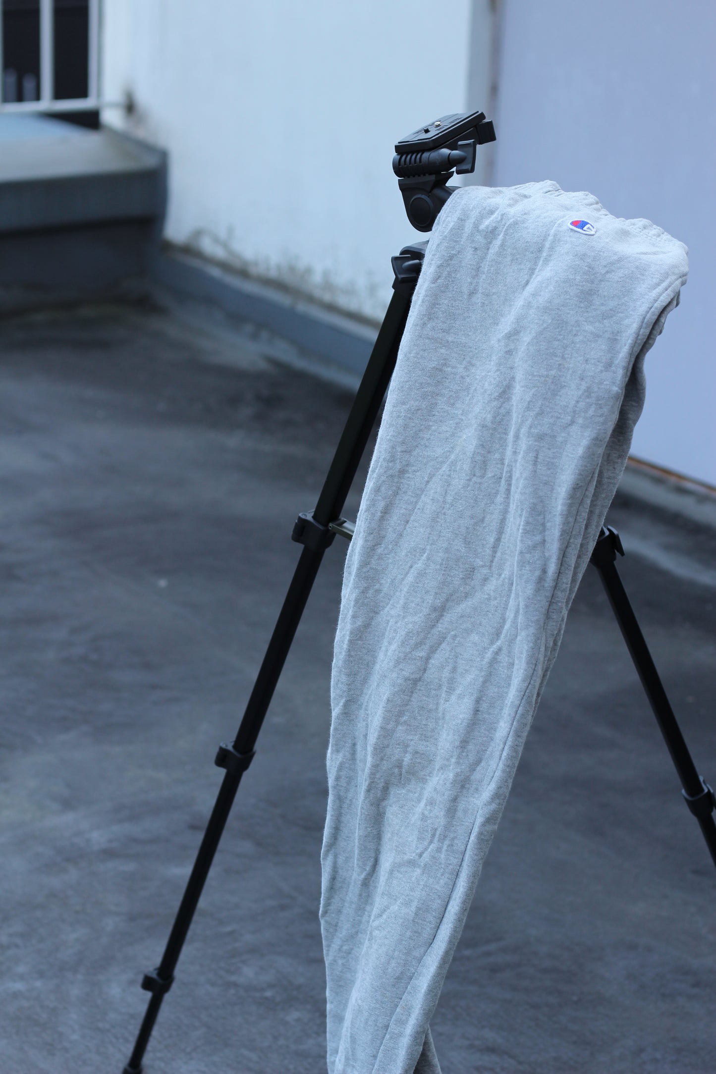 Gap & Champion Men's Sweatpants x2点