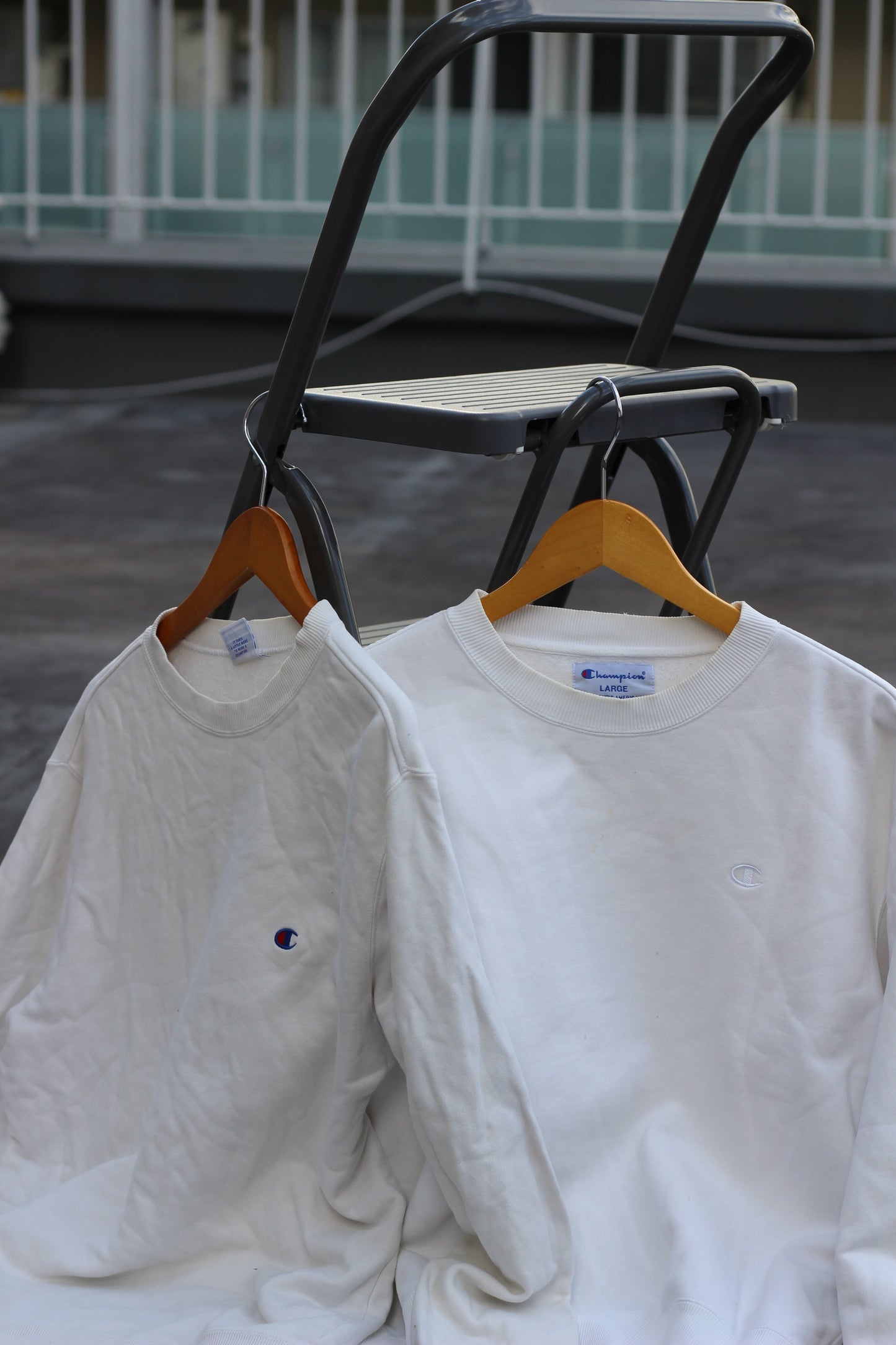 Champion Sweatshirt x5点