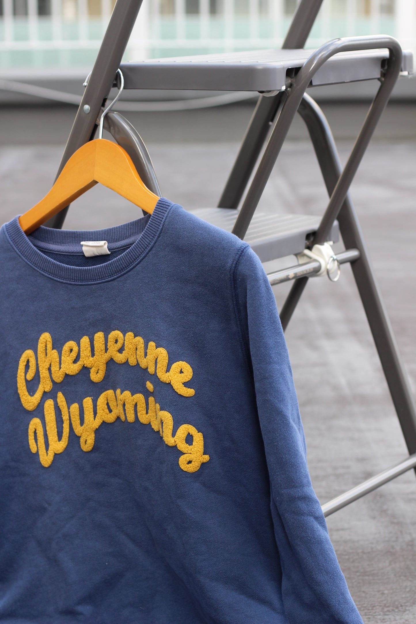 Champion Sweatshirt x5点