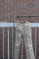 Burberry Women's Slacks x2点