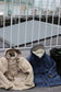 Men's Utility Jacket x11点