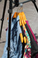 Women's Import Bulk x60点