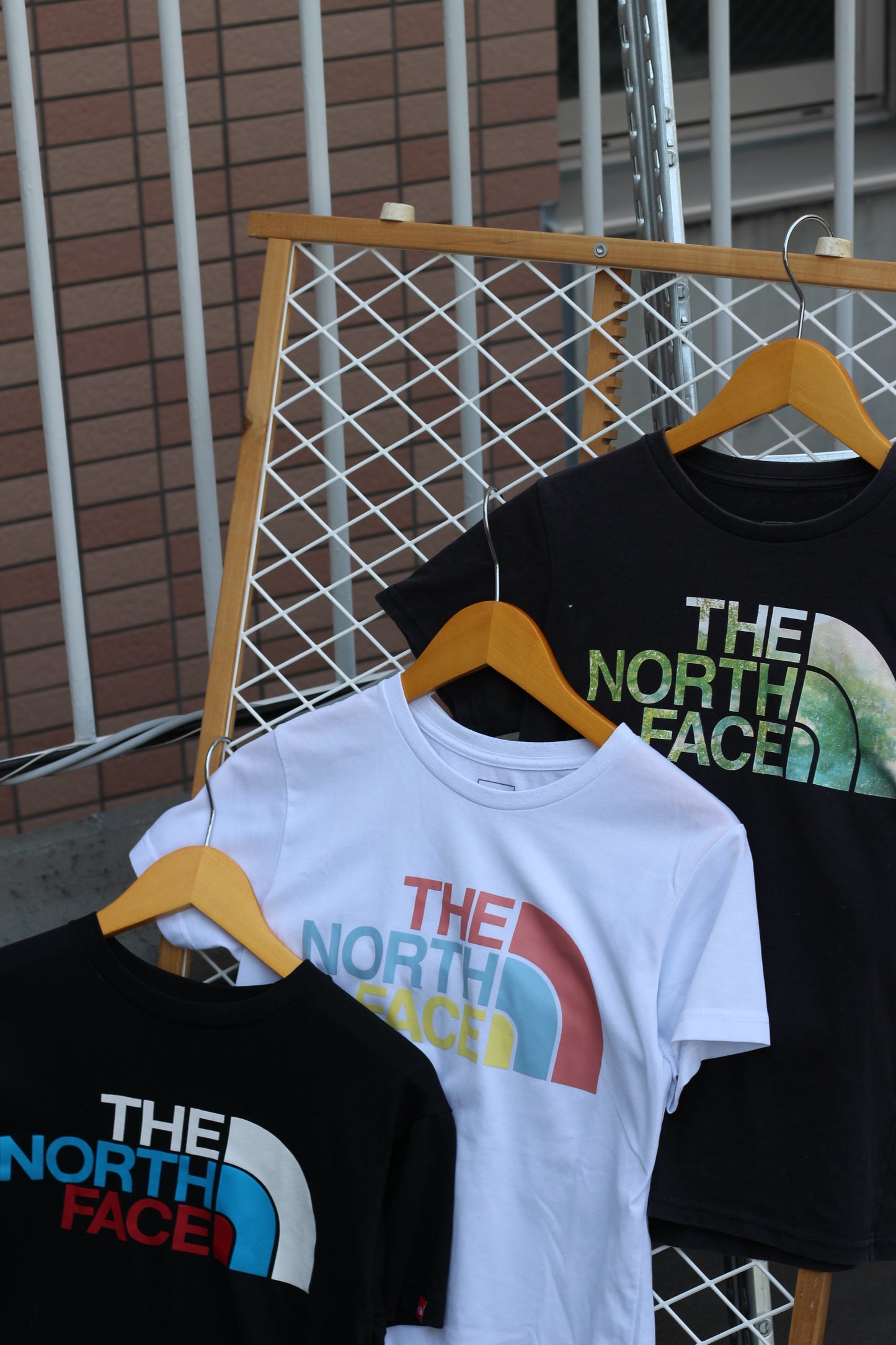 The North Face Front Print T-Shirt x6点