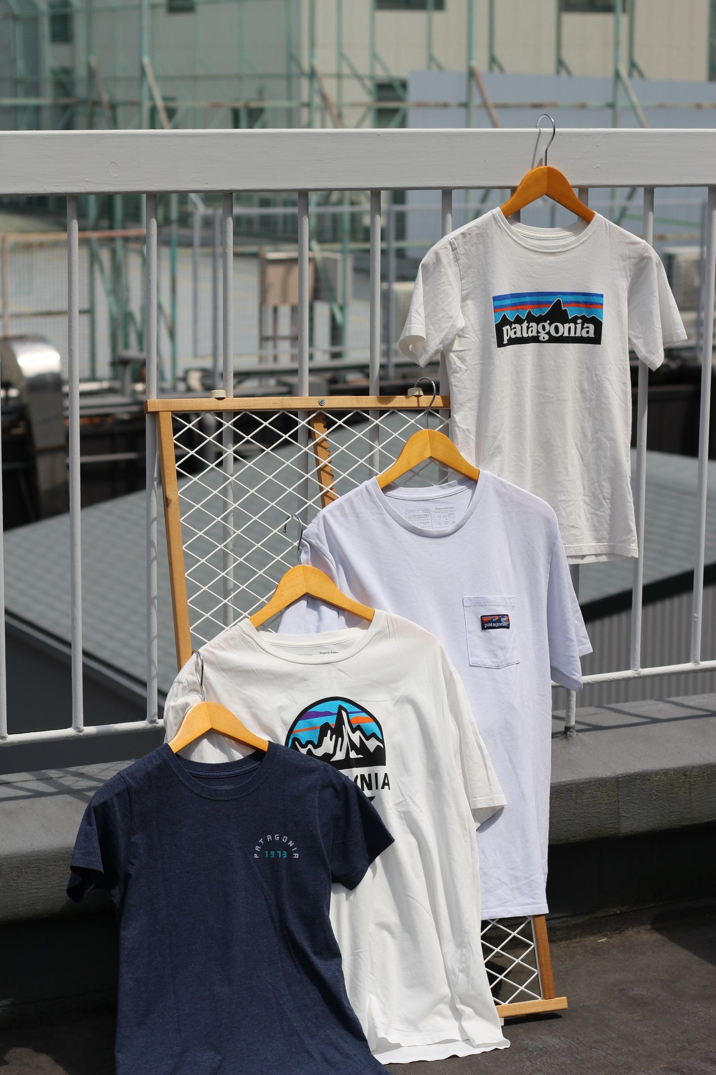 Patagonia Printed T-Shirt x4点