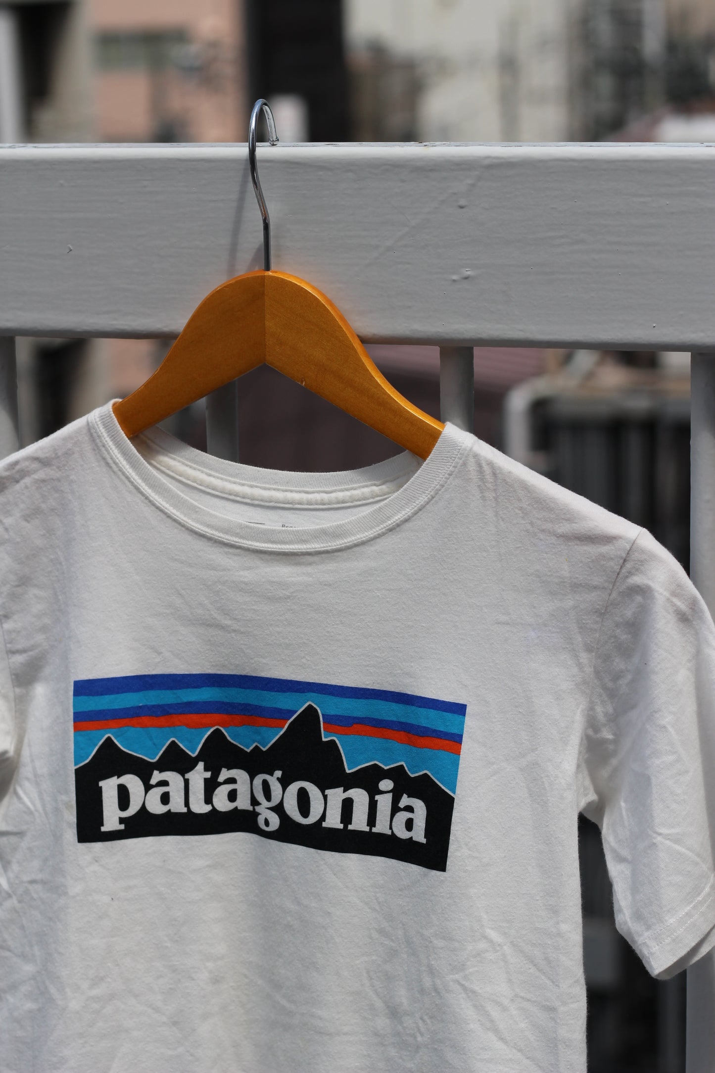 Patagonia Printed T-Shirt x4点