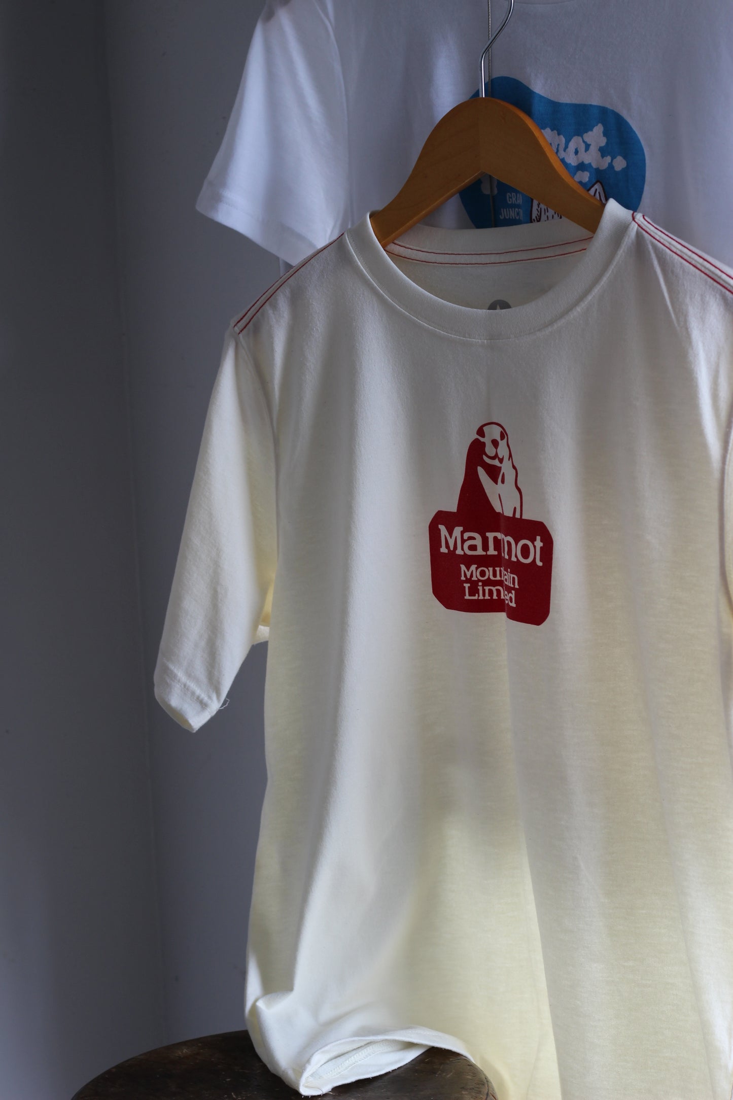 Marmot Printed T-Shirt x4点