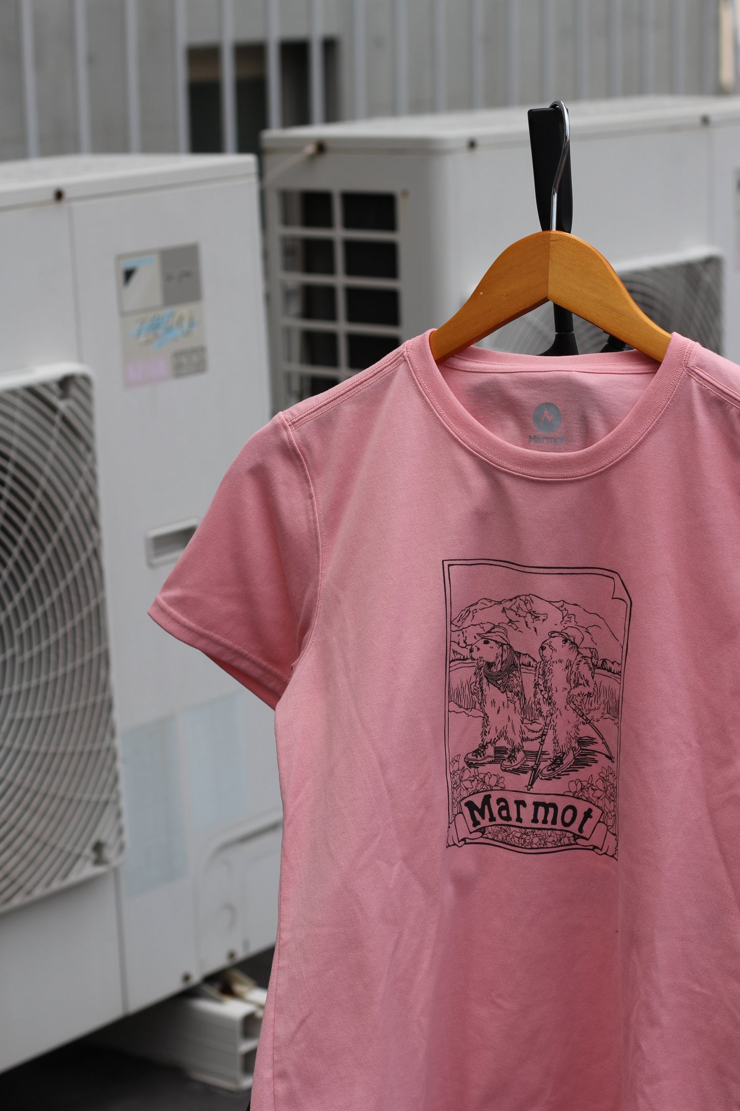 Marmot Printed T-Shirt x4点