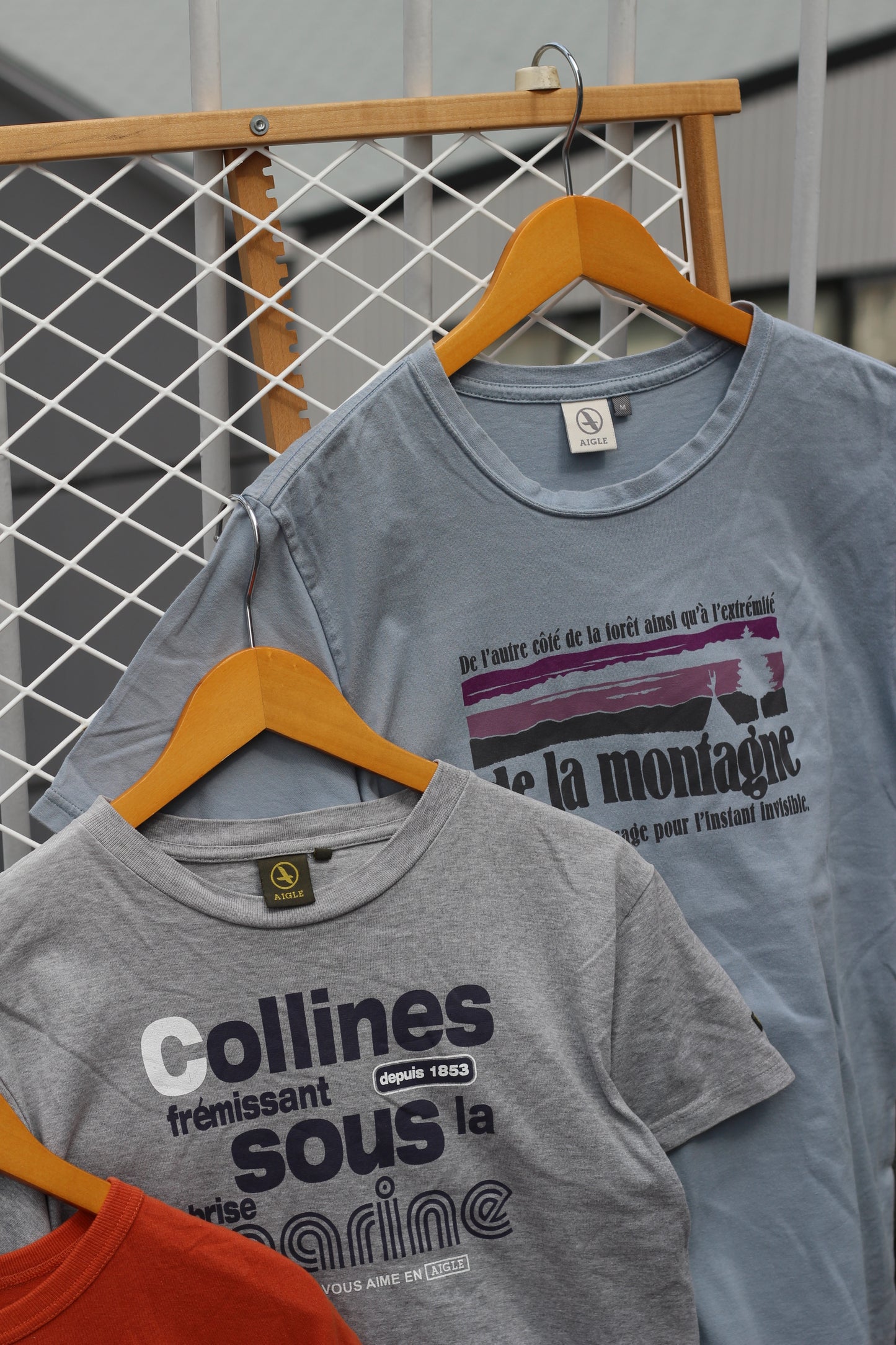 Aigle Printed T-Shirt x8点