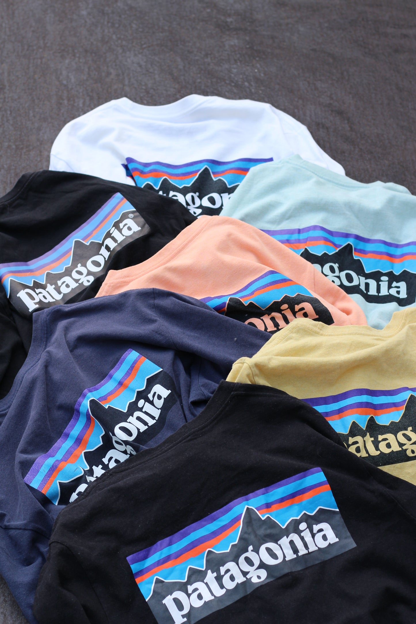 Patagonia Back Print P-6 Logo T-Shirt x11点