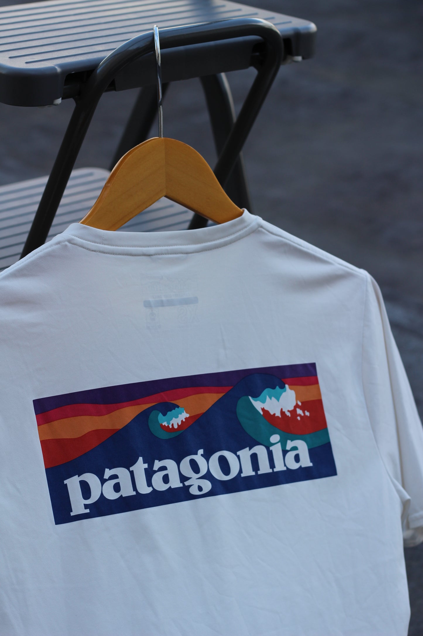 Patagonia Back Print P-6 Logo T-Shirt x11点