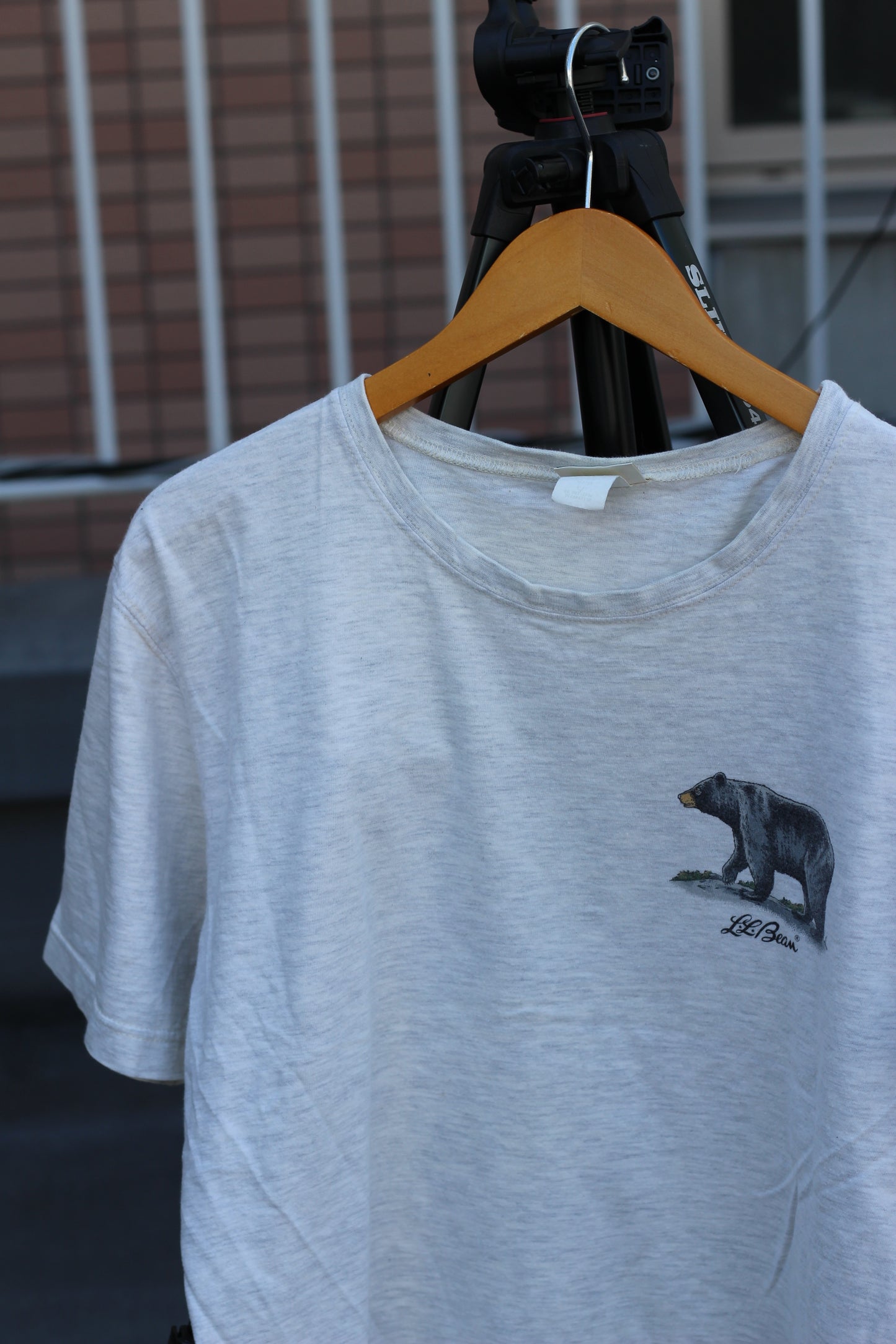 80's L.L. bean Printed T-Shirt x4点
