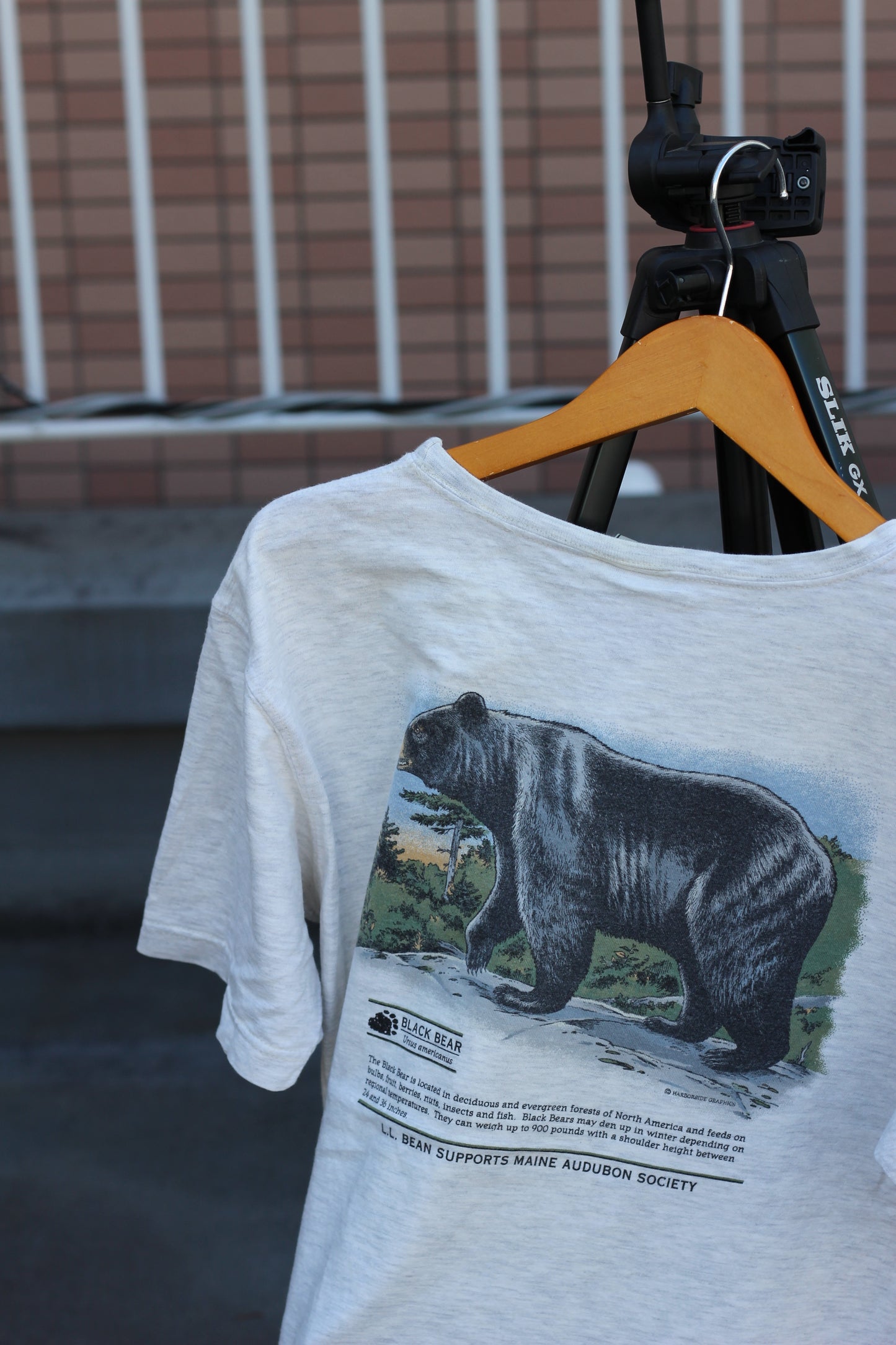 80's L.L. bean Printed T-Shirt x4点