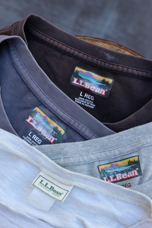 80's L.L. bean Printed T-Shirt x4点