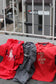 Ralph Lauren T-Shirt x11点