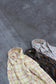 Usa Style Shirt x11点