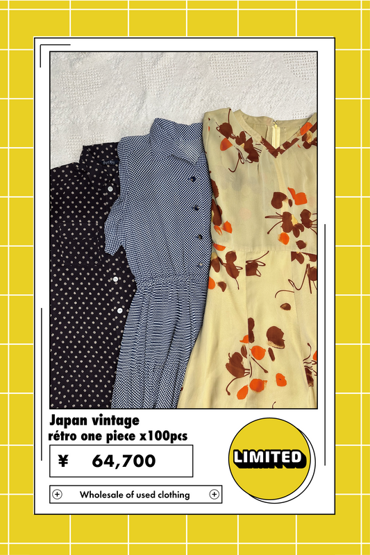 【Limited】Japan vintage retro one piece x100点