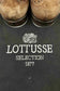 LOTTUSSE leather shoes
